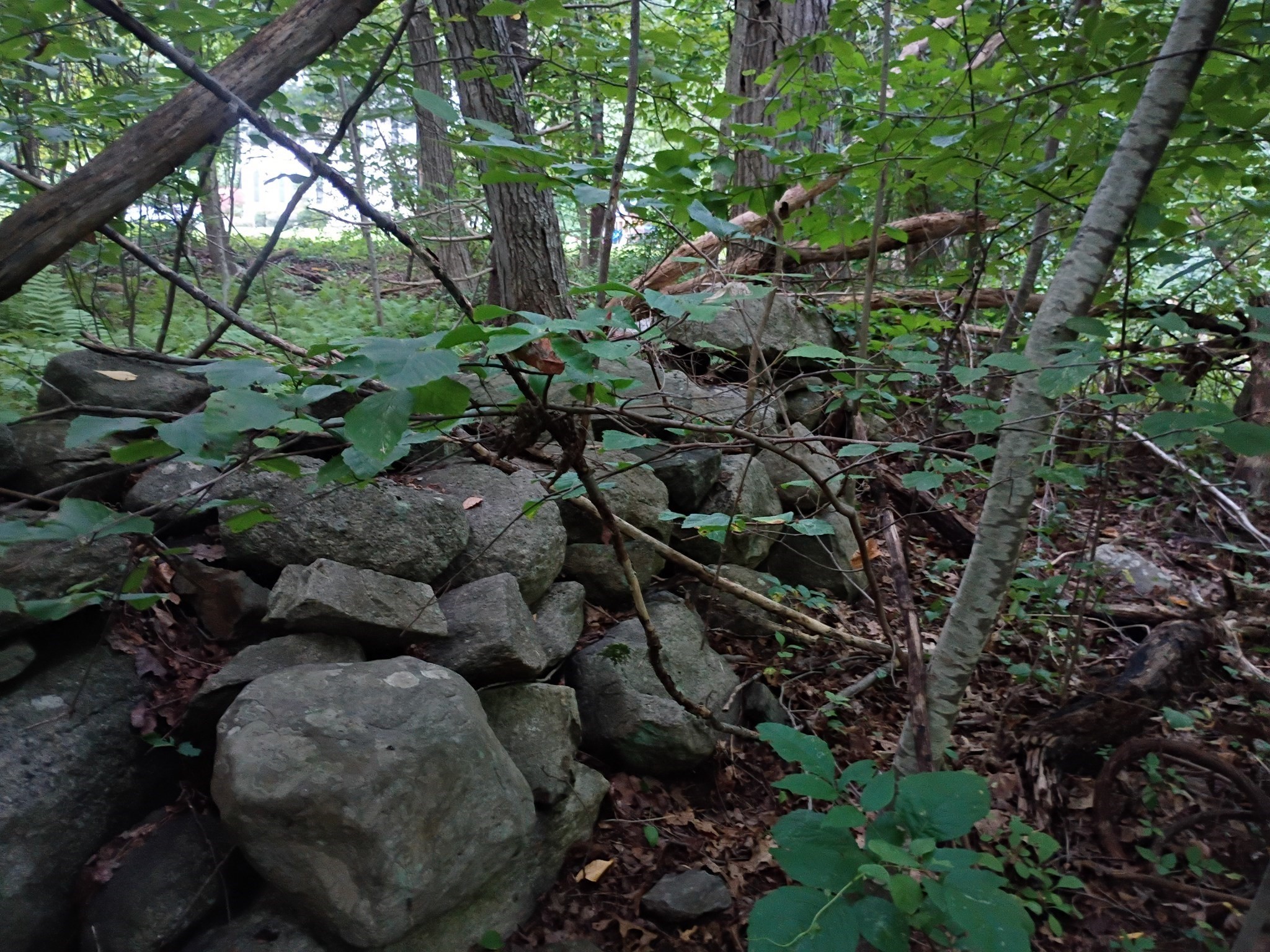 522 Chestnut Hill Property Photo 17