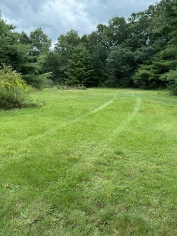 72 W Orange Rd Property Photo 12