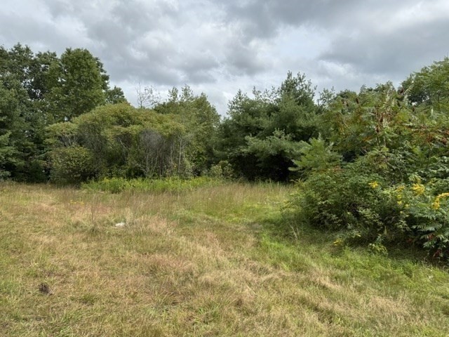 72 W Orange Rd Property Photo 14