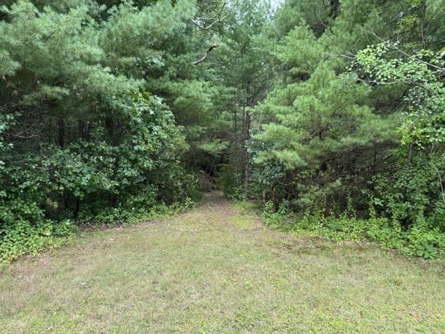 72 W Orange Rd Property Photo 15