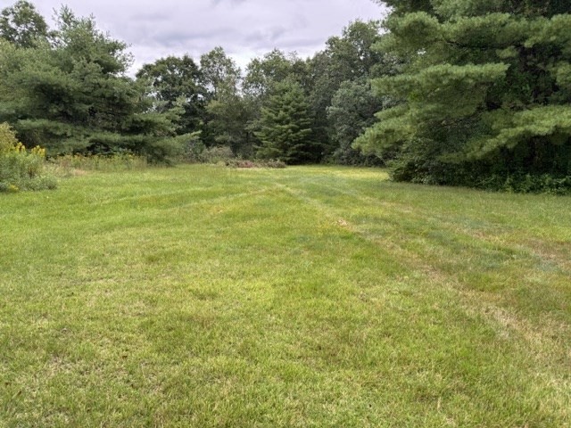 72 W Orange Rd Property Photo 17