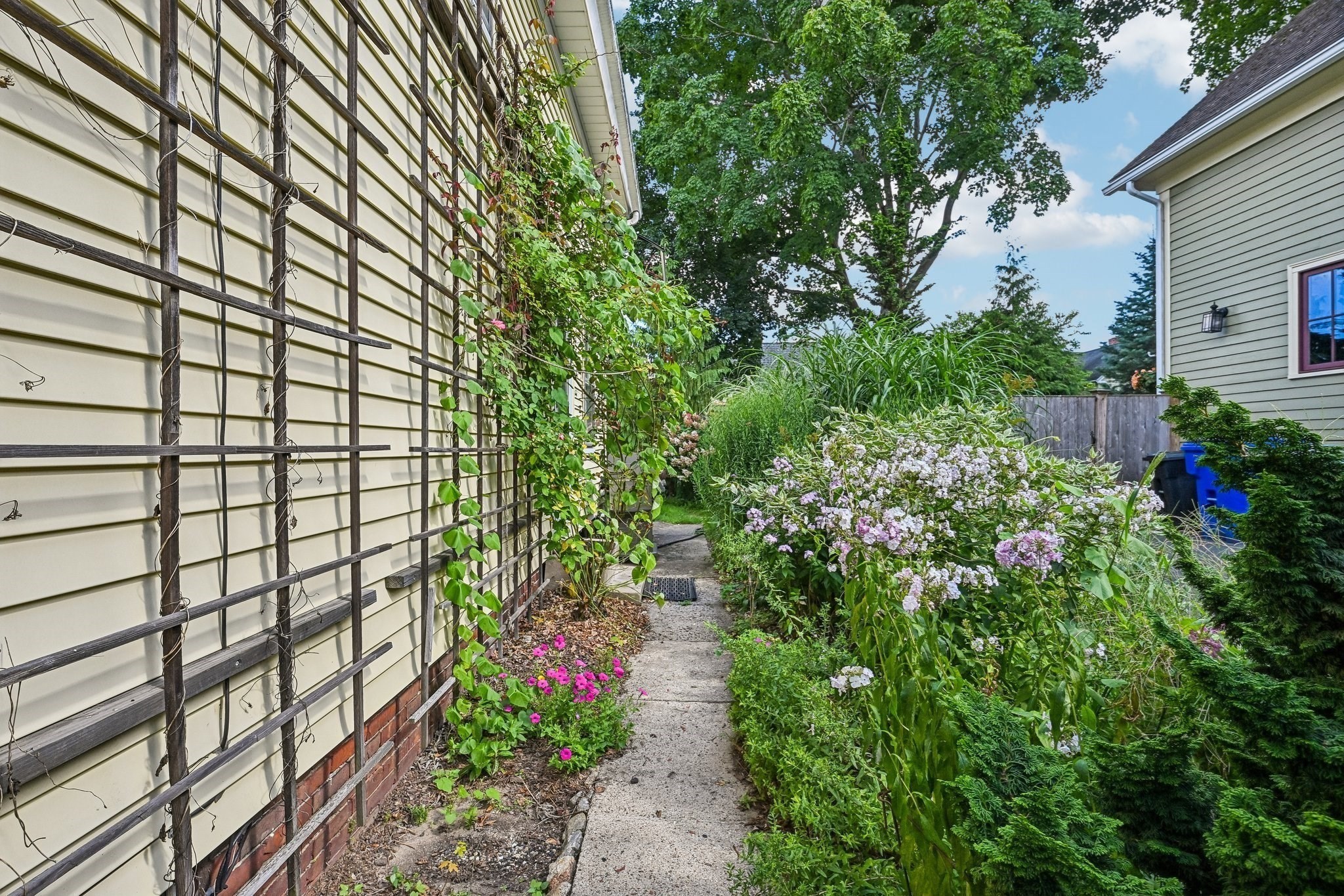 21 Elm St Property Photo 33