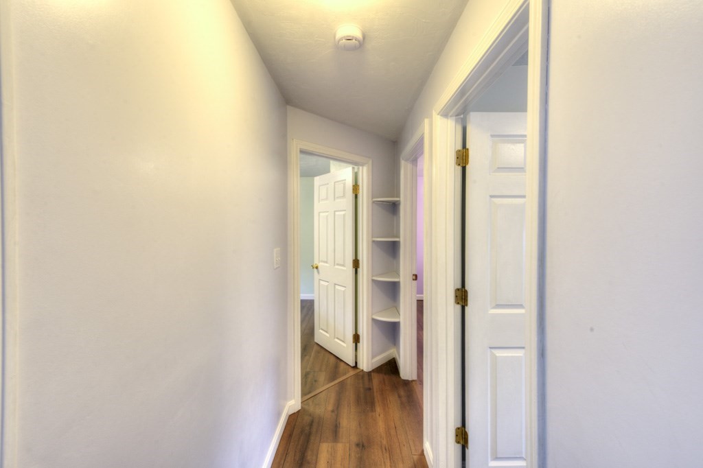 4 Matteo St Property Photo 15