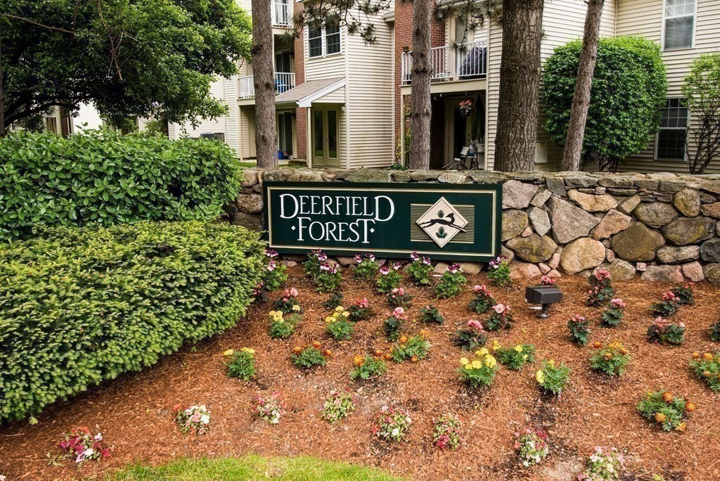 13 Walden Dr # 7 Property Photo 1