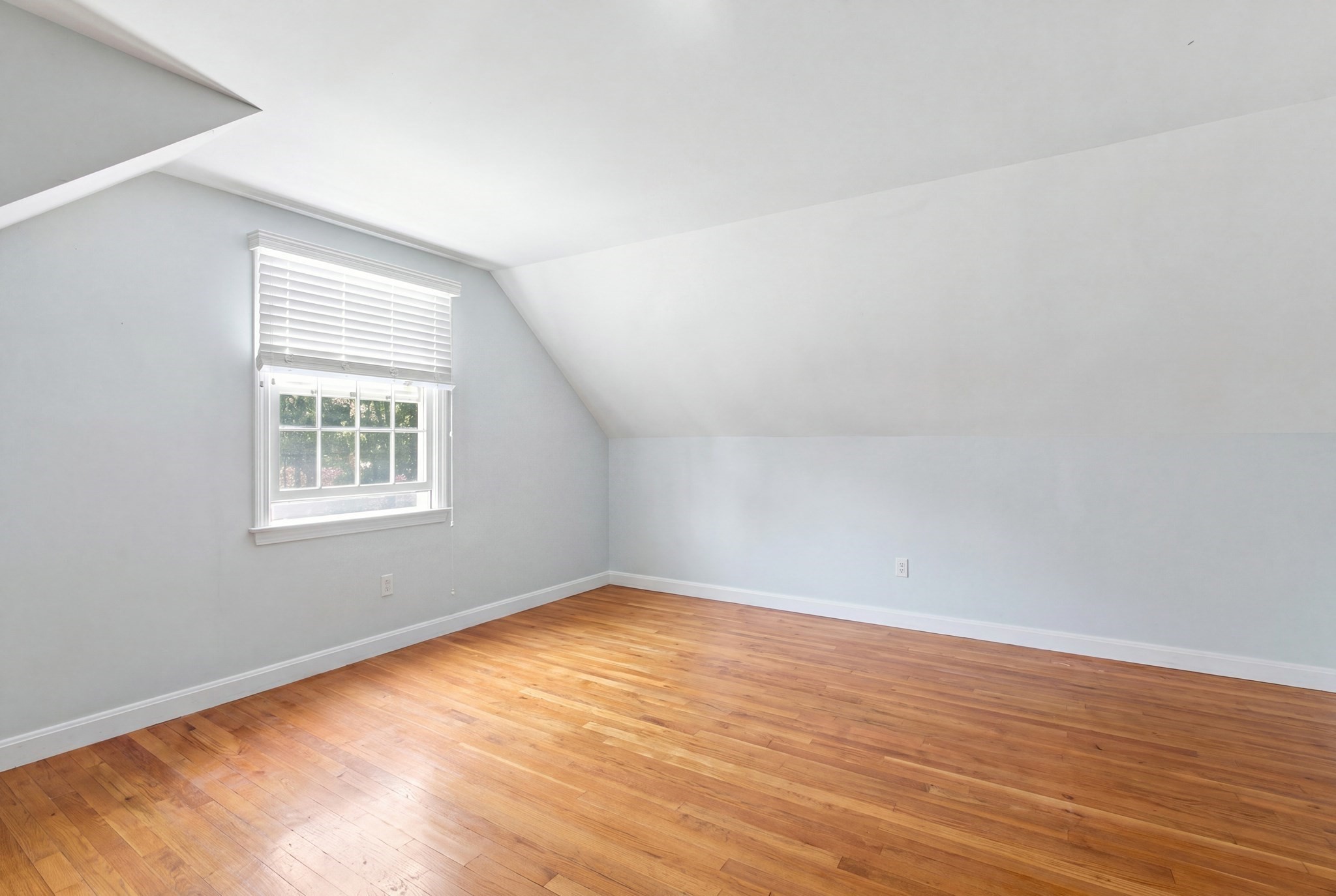 286 Midpine Road Property Photo 19