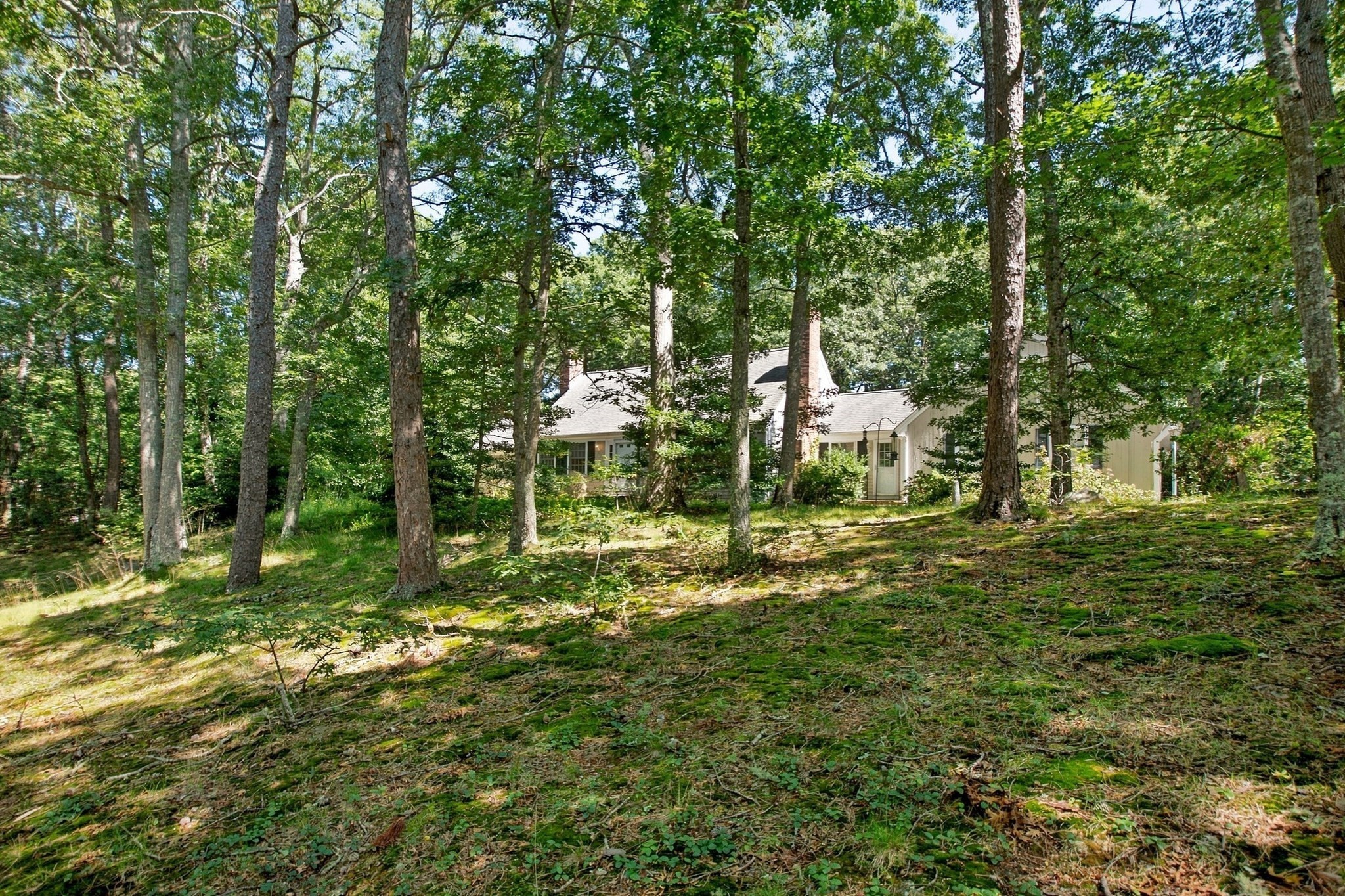 286 Midpine Road Property Photo 26