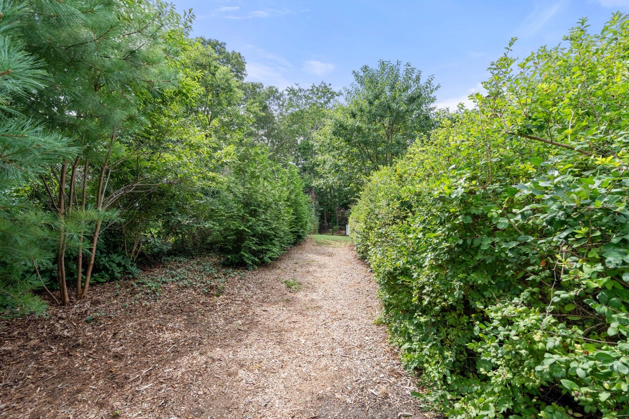192 Winding Cove Rd Property Photo 34