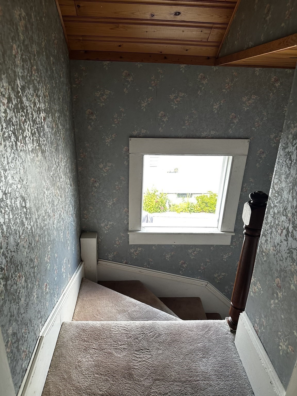 168 Howard St Property Photo 21