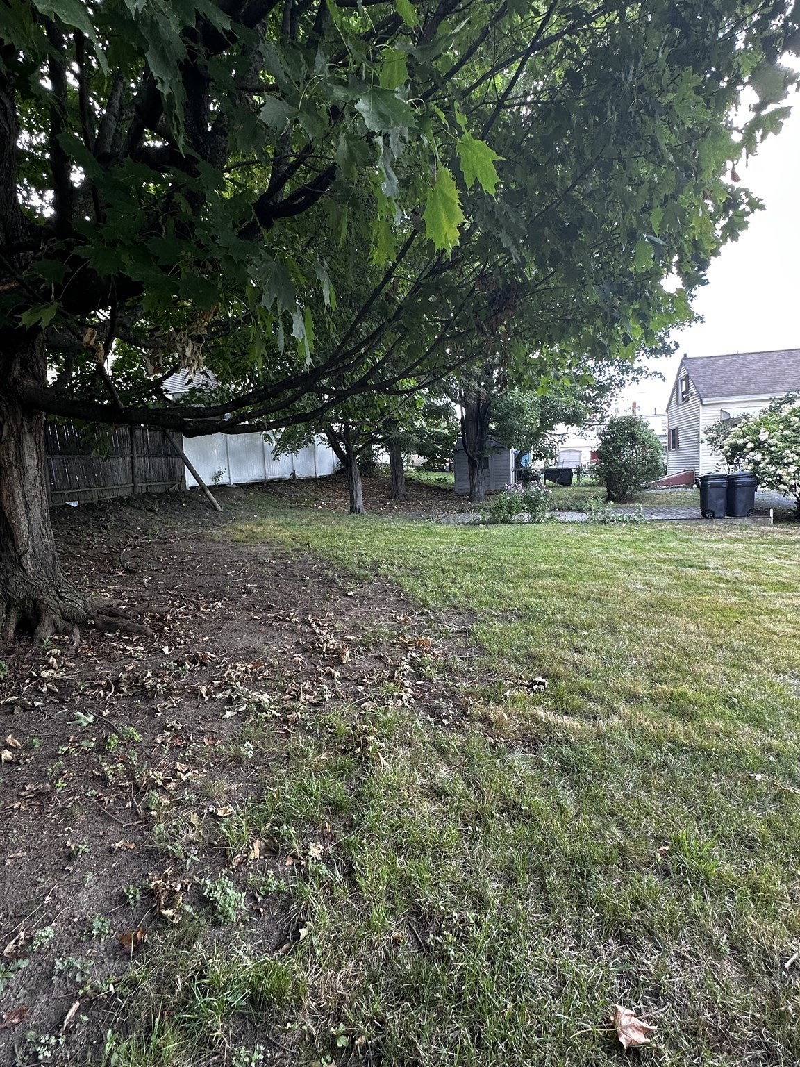 168 Howard St Property Photo 28
