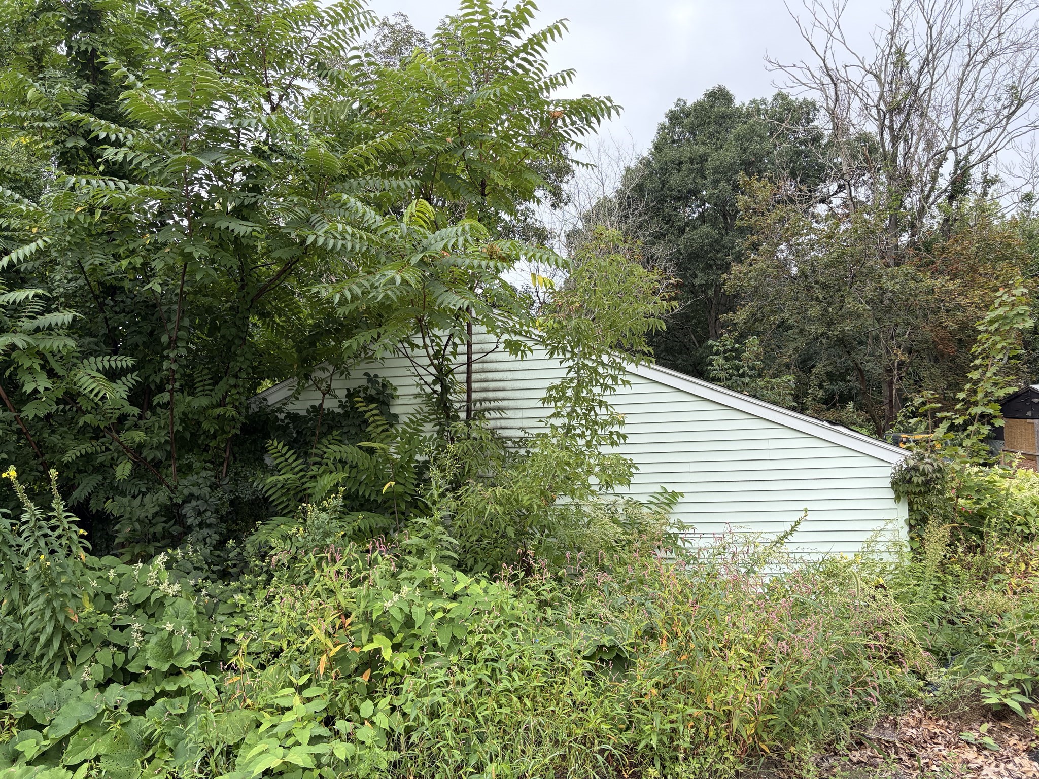 25-27 Maranda Street Property Photo 3