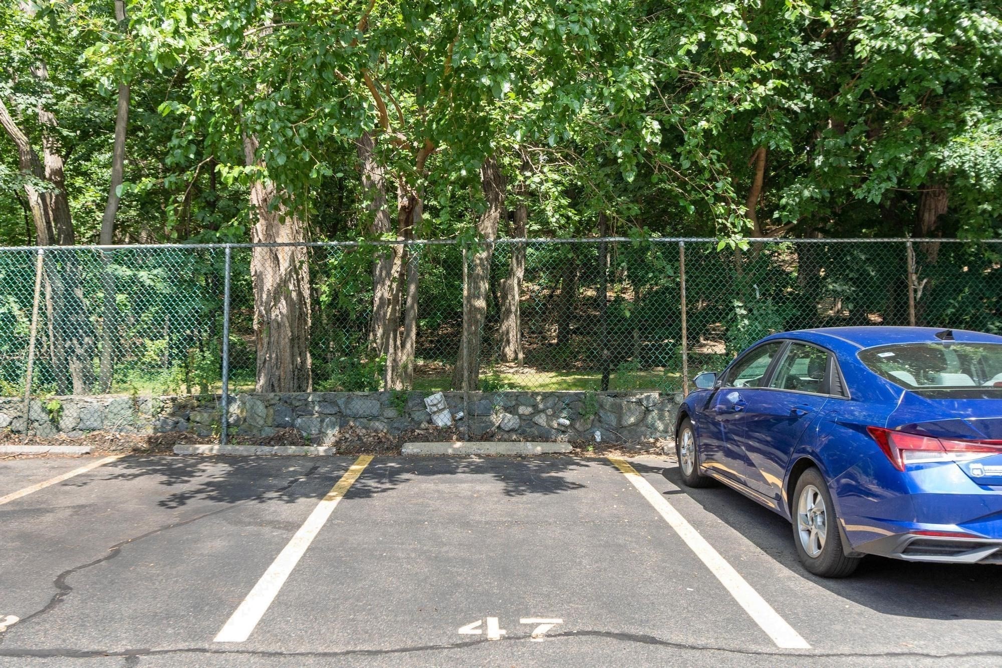 1409 Commonwealth Avenue # 502 Property Photo 24