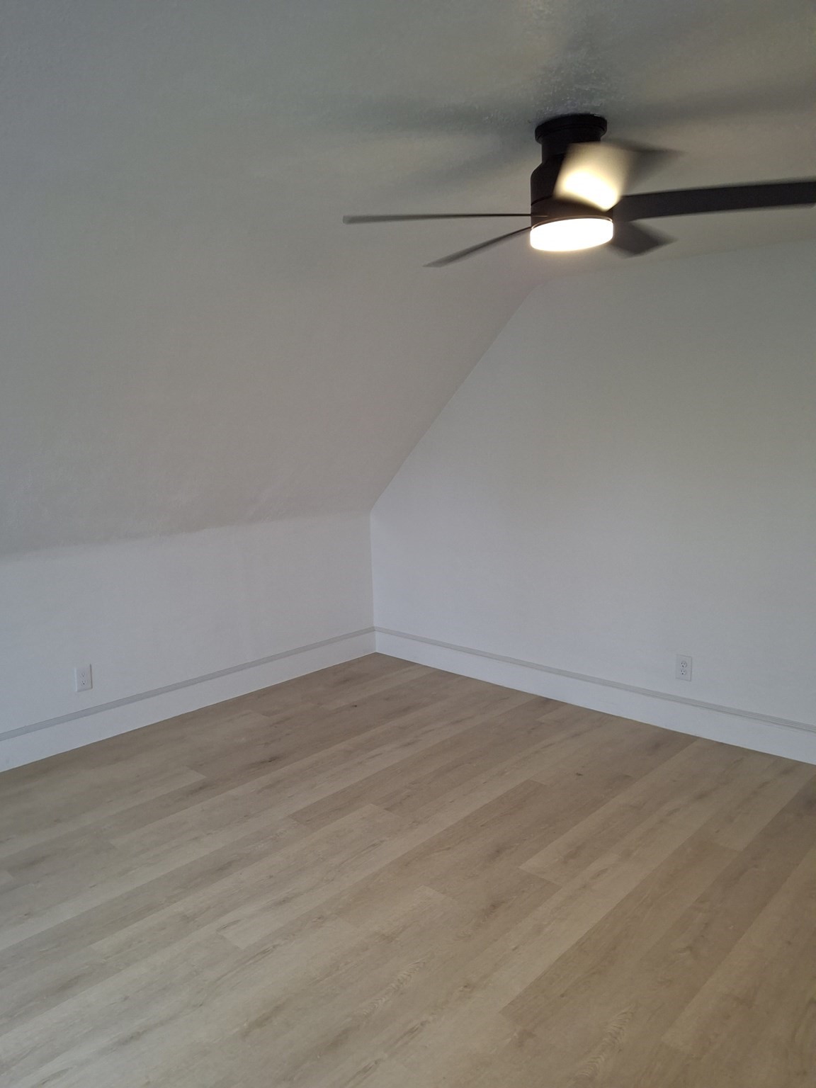 709 Belmont Street # 3 Property Photo 9