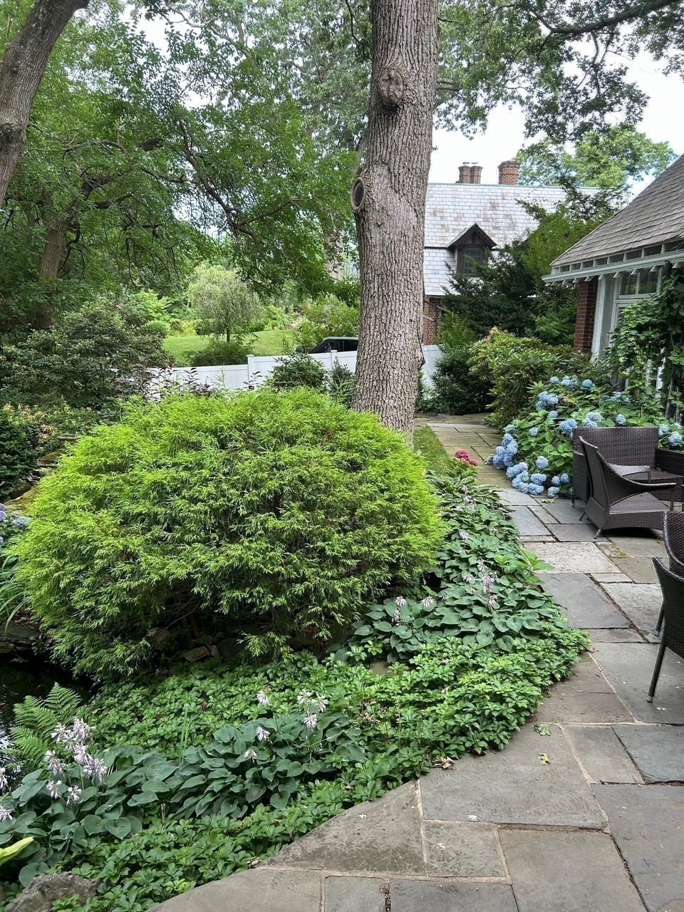 115 Aspen Ave Property Photo 34
