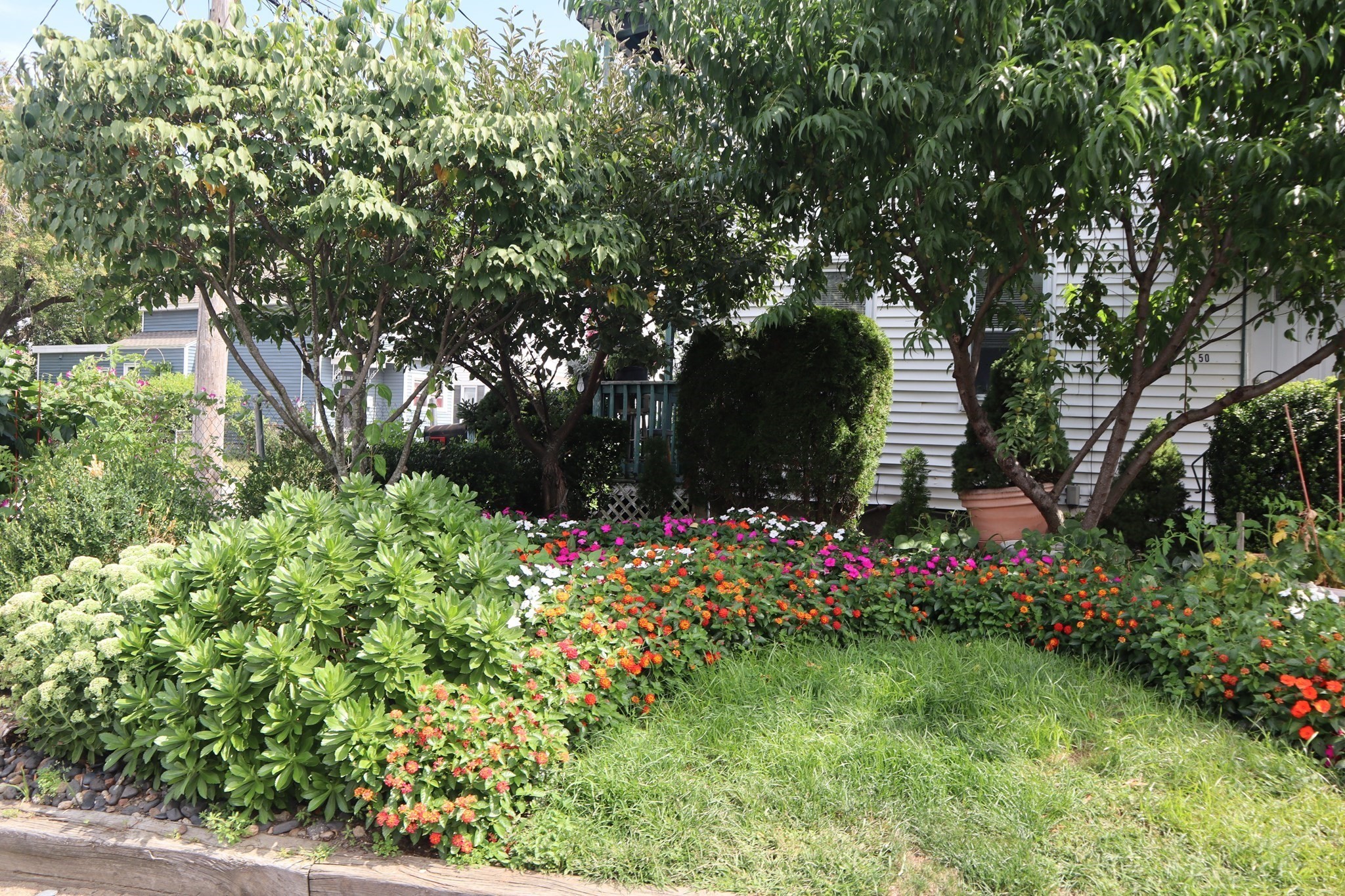 48 Blossom St Property Photo 6