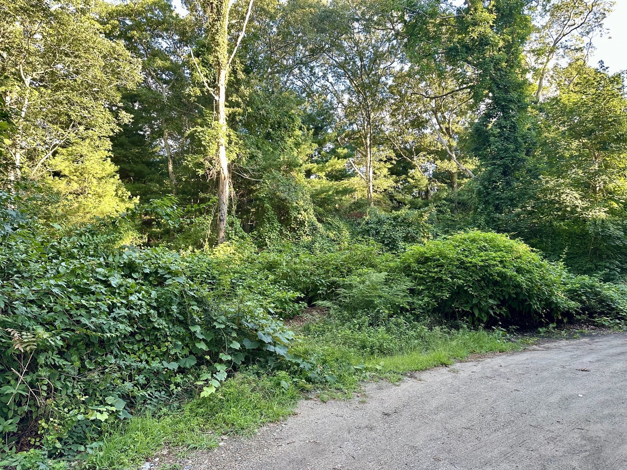 0 Old Country Lane Property Photo 2