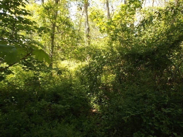 0 Old Country Lane Property Photo 4