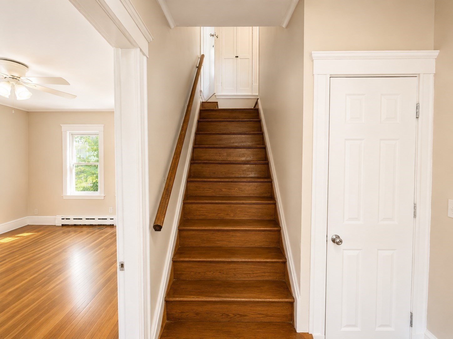 64 Havelock St Property Photo 10