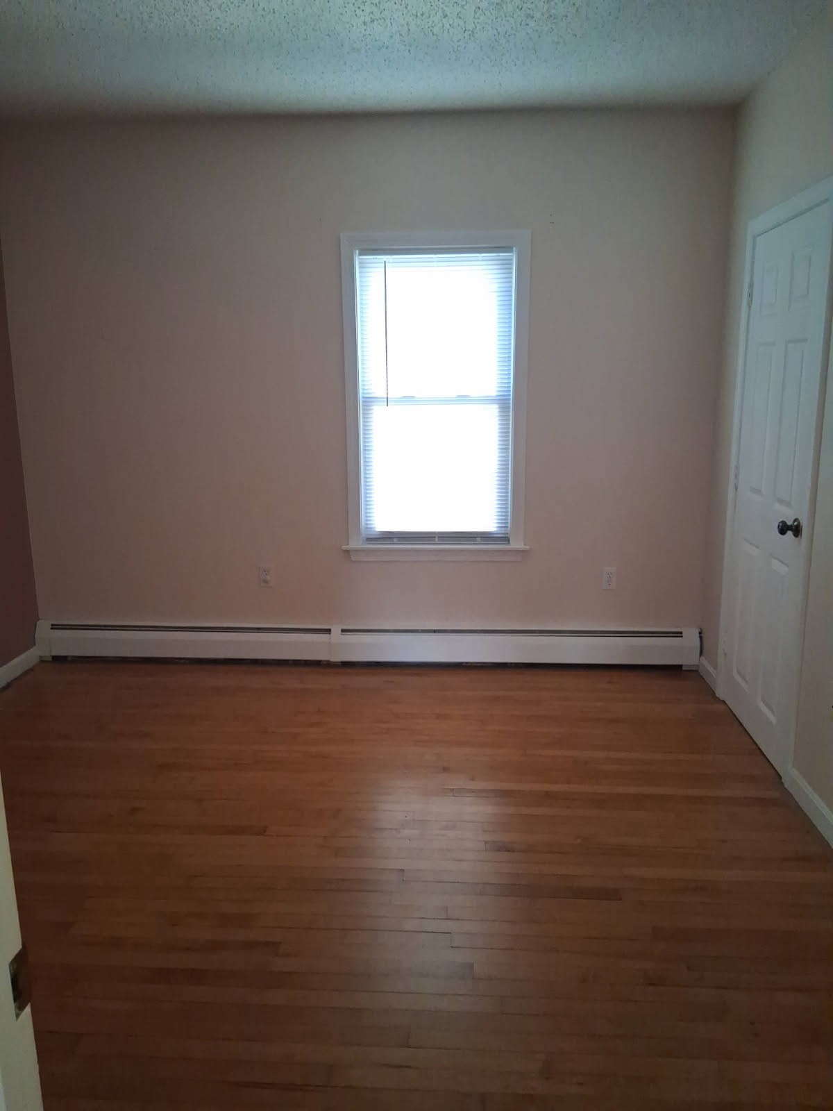 36 Palmer St. # 2 Property Photo 2