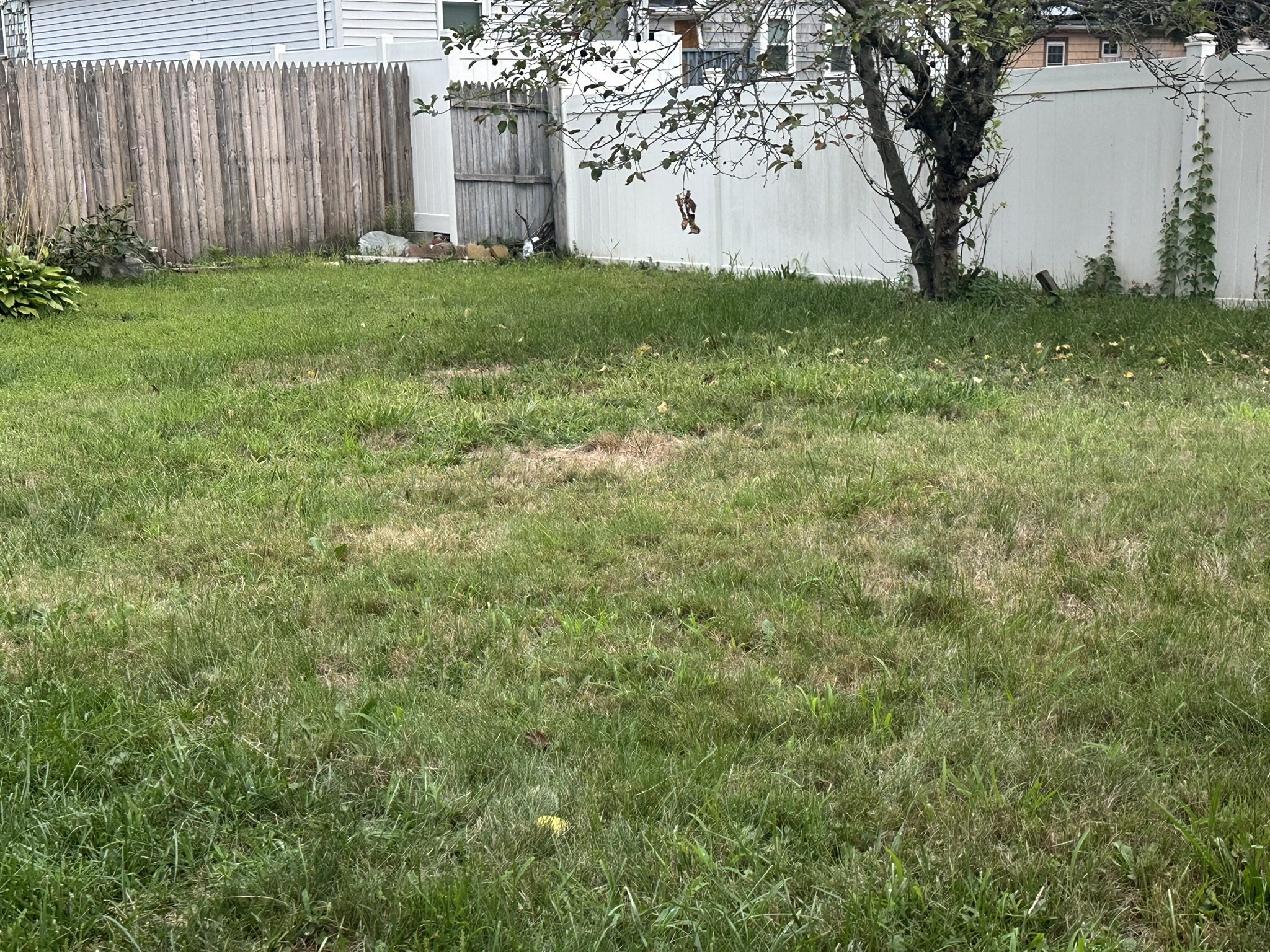 10 Milton Ter Property Photo 33