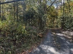 0 Woodland Way Property Photo 1