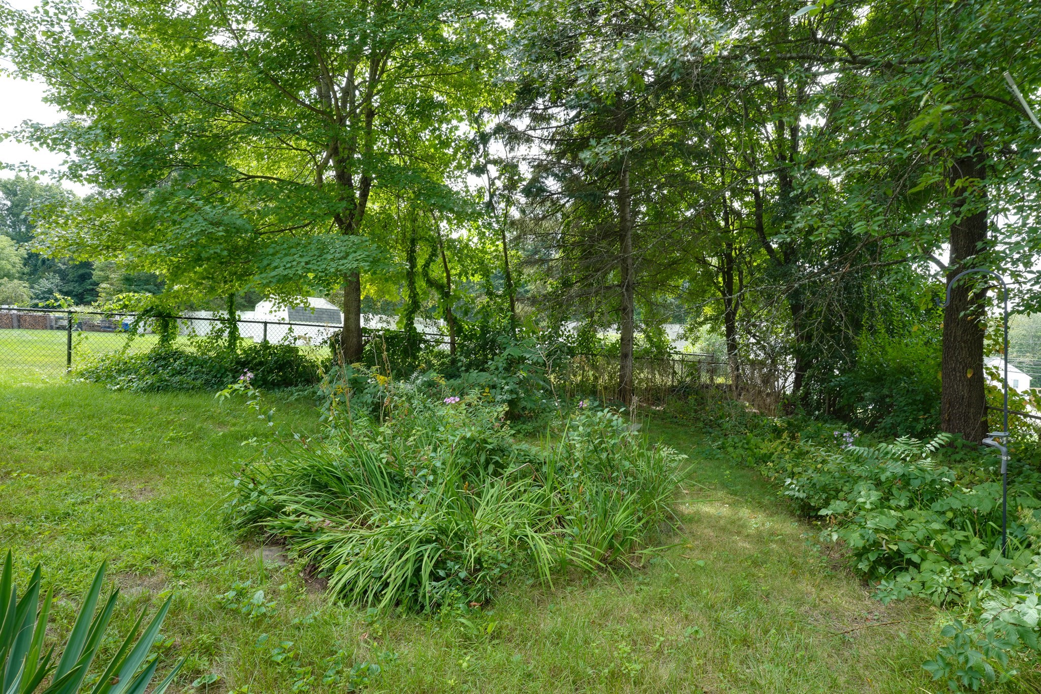 10 Westbrook Rd Property Photo 17