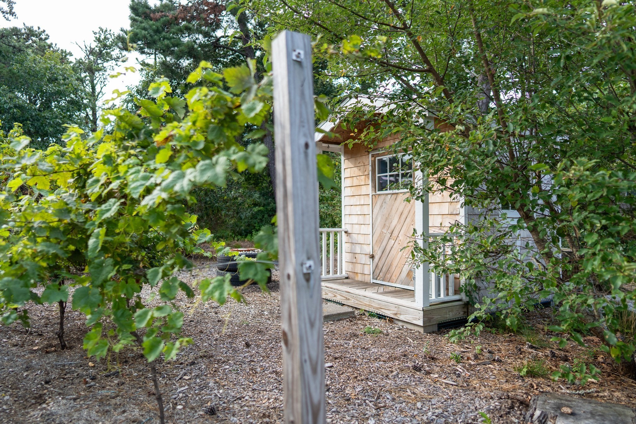 85 Jennie Clark Rd Property Photo 7