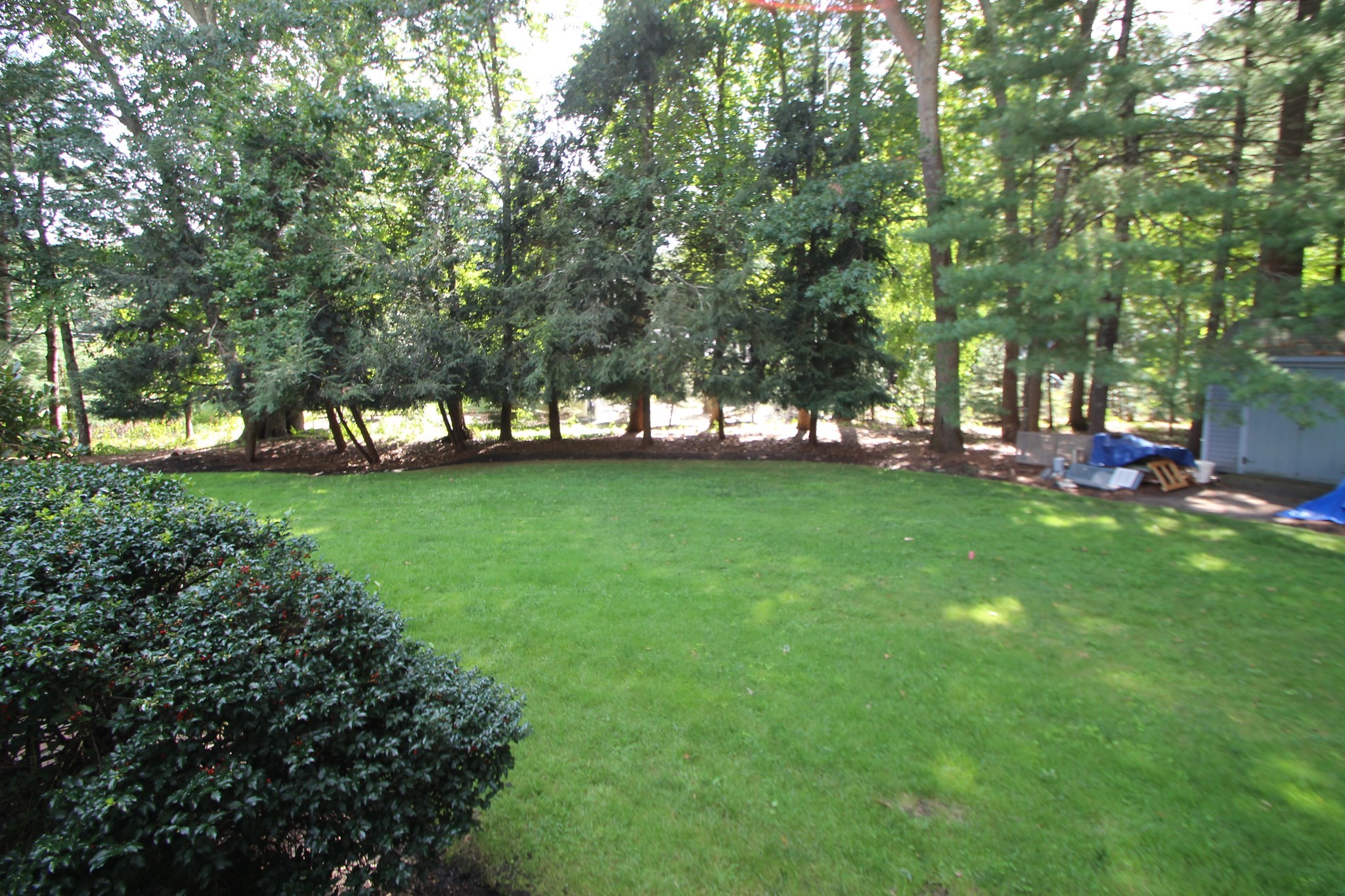 125 Boxwood Ln Property Photo 7