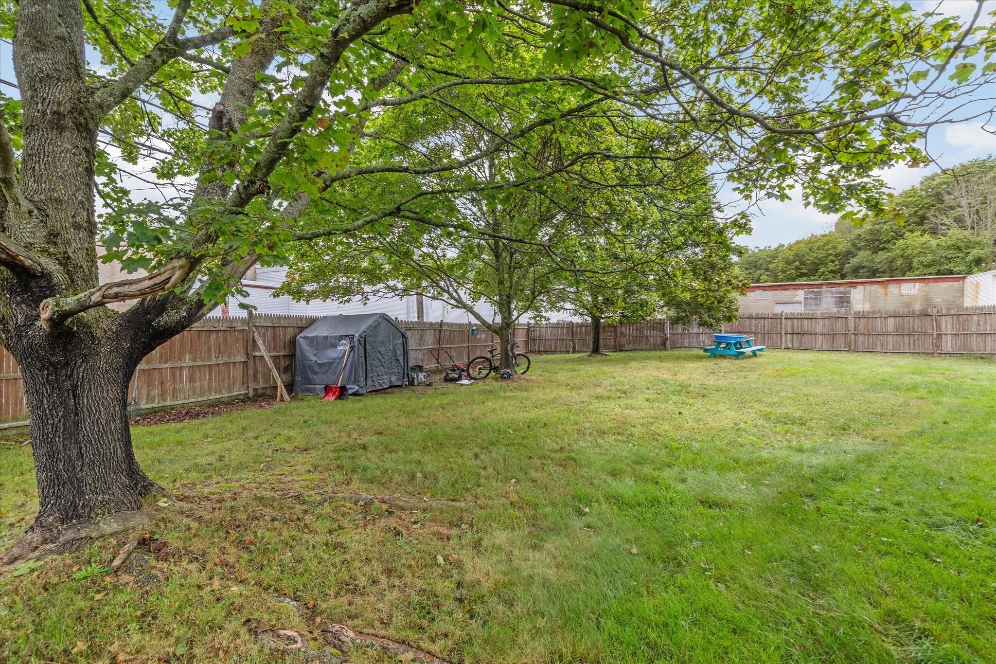14 Benjamin St Property Photo 27