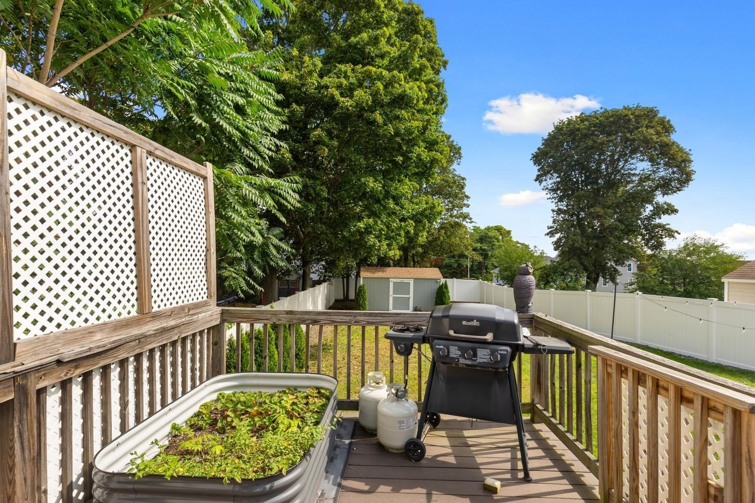 8 Herbert St Property Photo 26