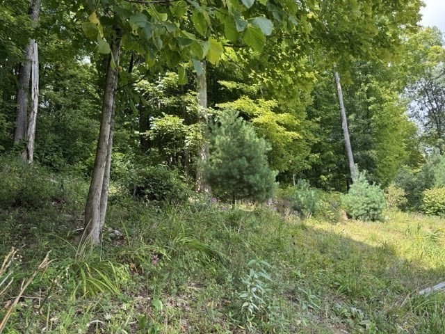 9 Jordan Way Property Photo 4