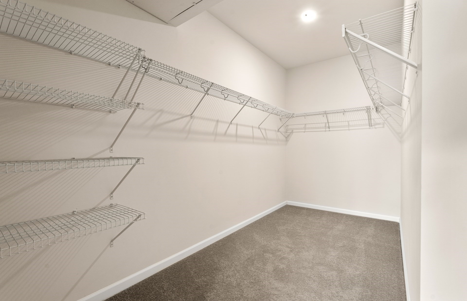 8113 Peters Farm Way # 113 Property Photo 7
