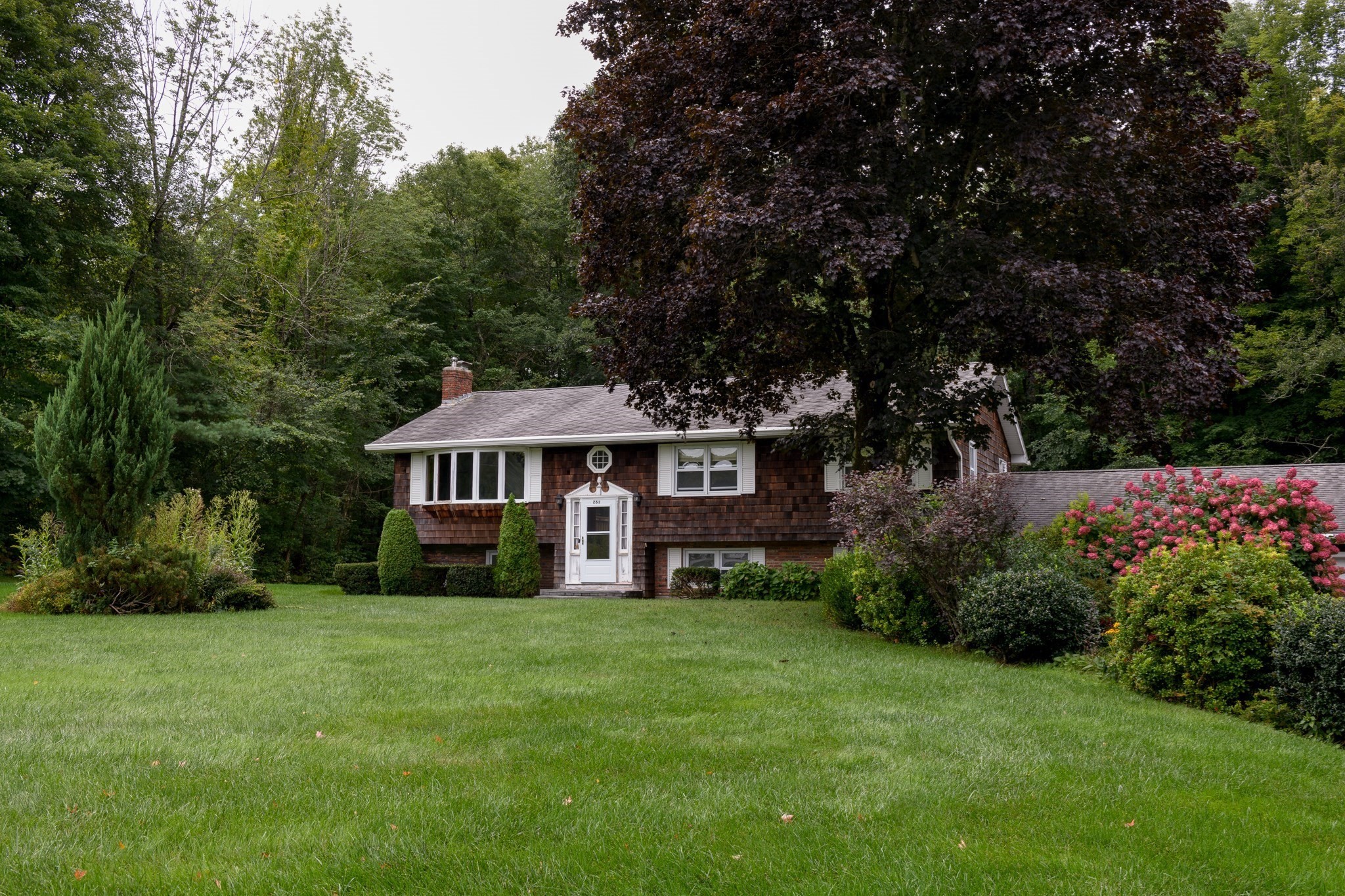 261 Brookfield Rd Property Photo 2