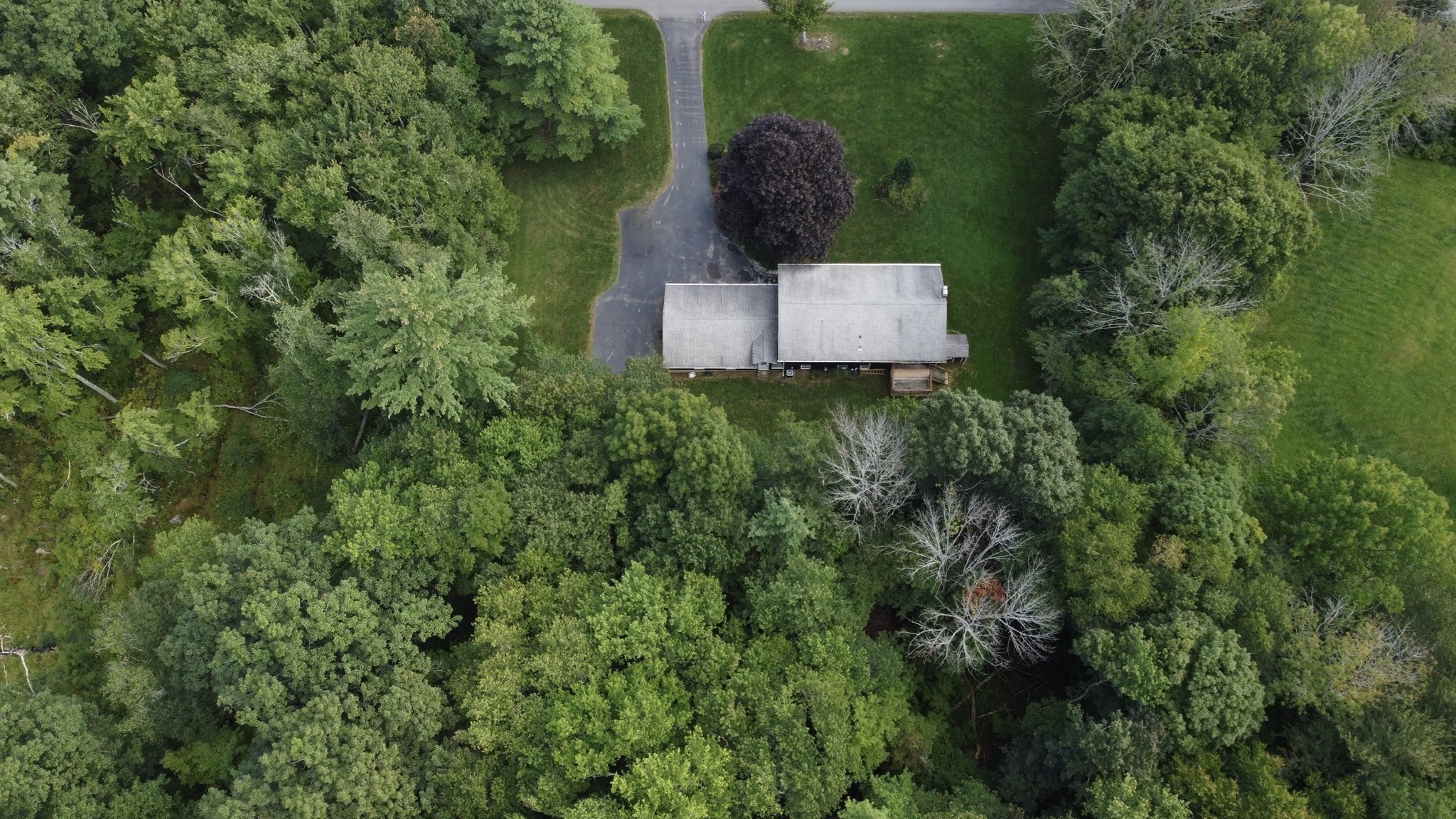 261 Brookfield Rd Property Photo 4