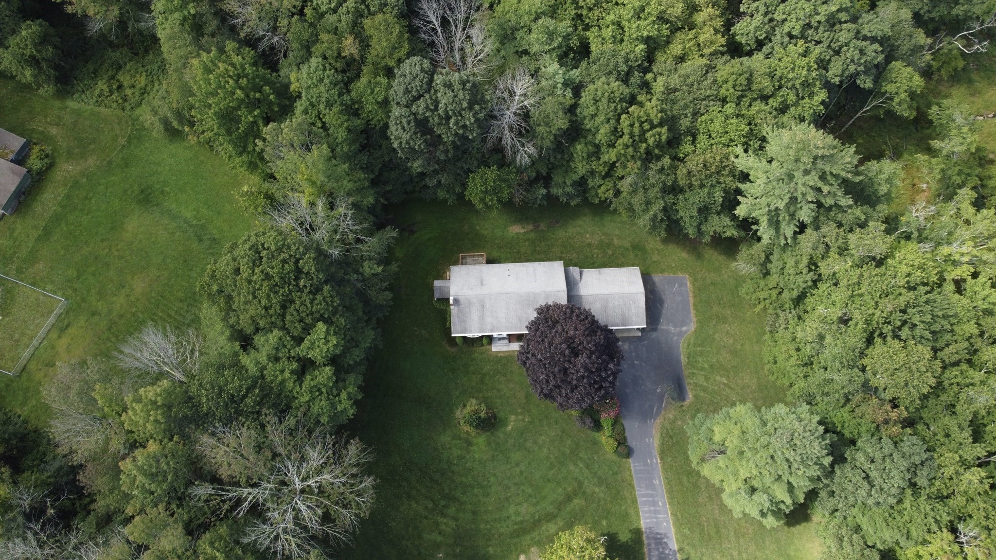 261 Brookfield Rd Property Photo 5
