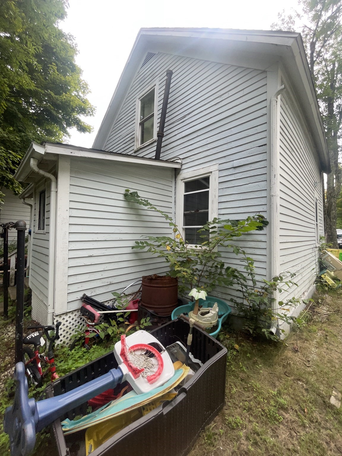 31 Eddy St Property Photo 3
