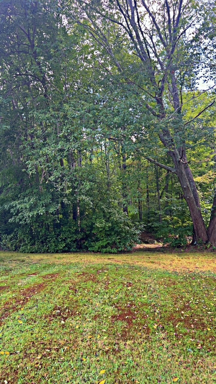 0 Bark Street Property Photo 3