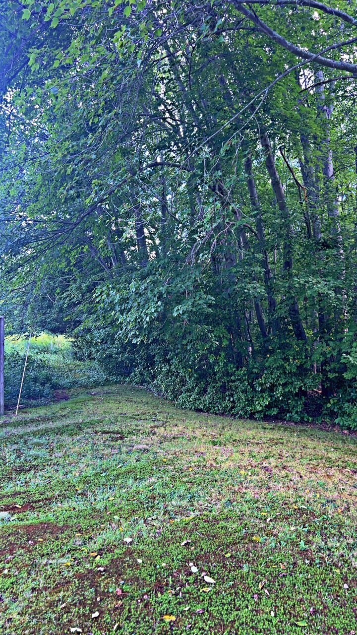 0 Bark Street Property Photo 4