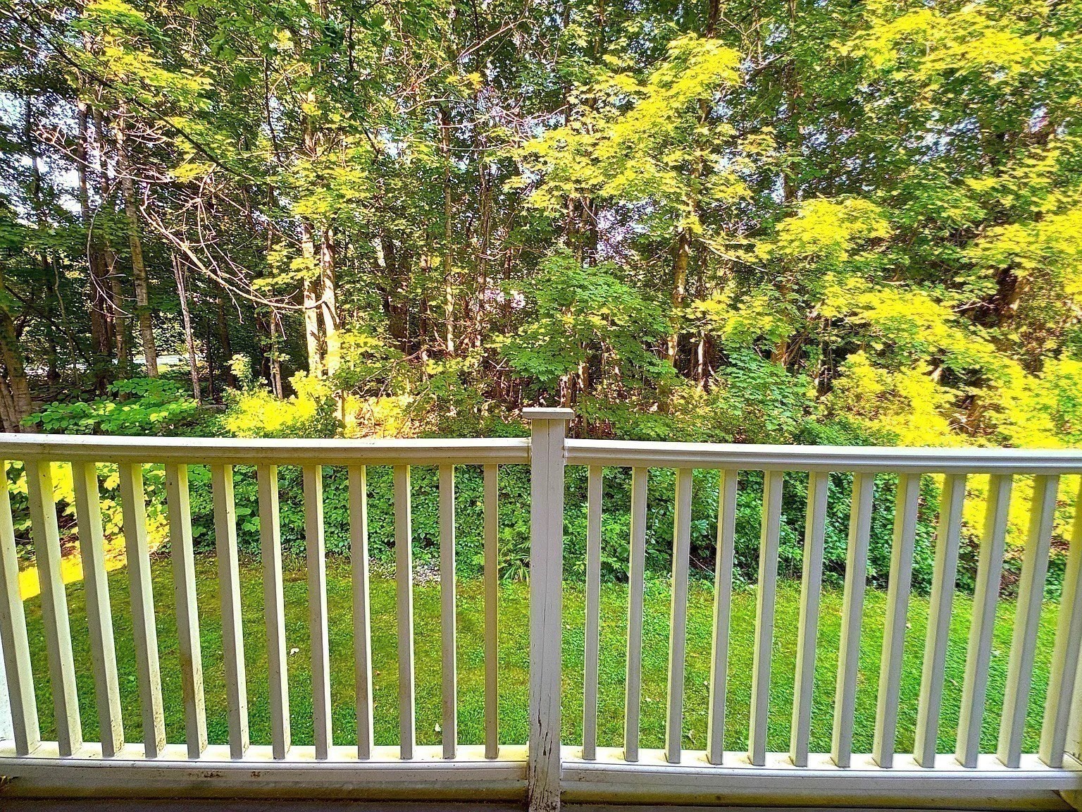 44 Evergreen Rd # 202 Property Photo 8