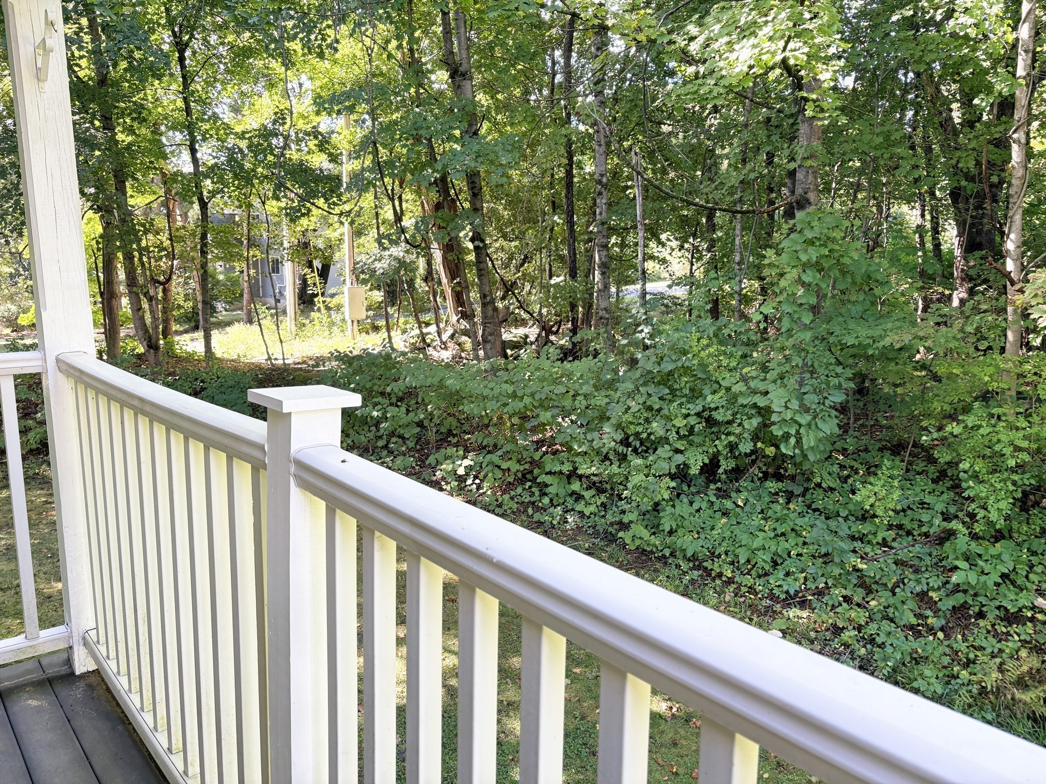 44 Evergreen Rd # 202 Property Photo 9