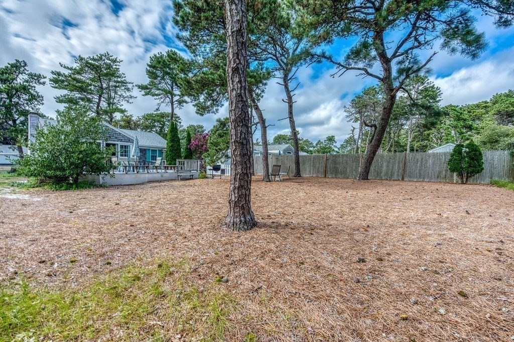 16 Lawrence Rd Property Photo 32