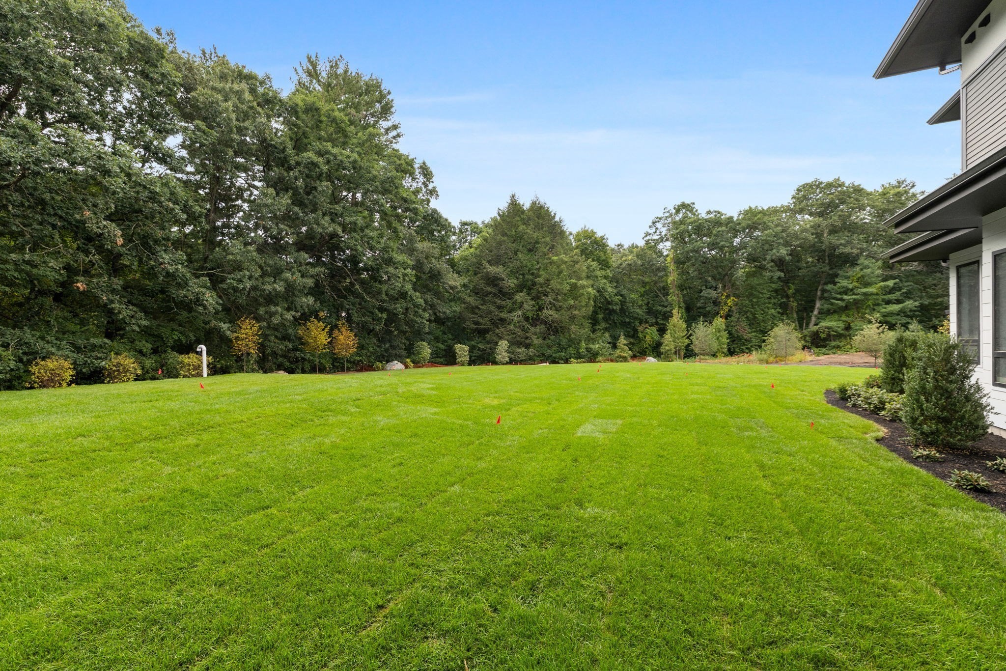 50 Willard Property Photo 33