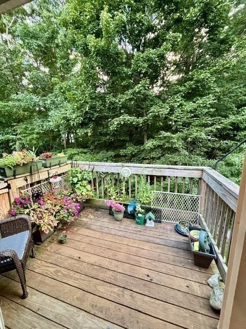 6 Meadowbrook Ln # 4 Property Photo 2