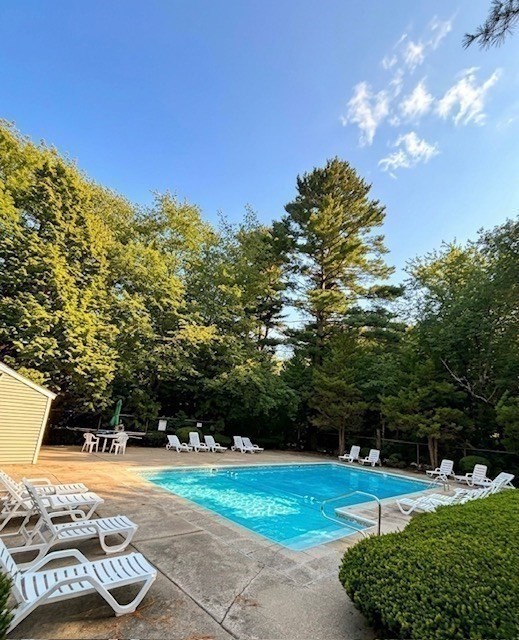 6 Meadowbrook Ln # 4 Property Photo 18