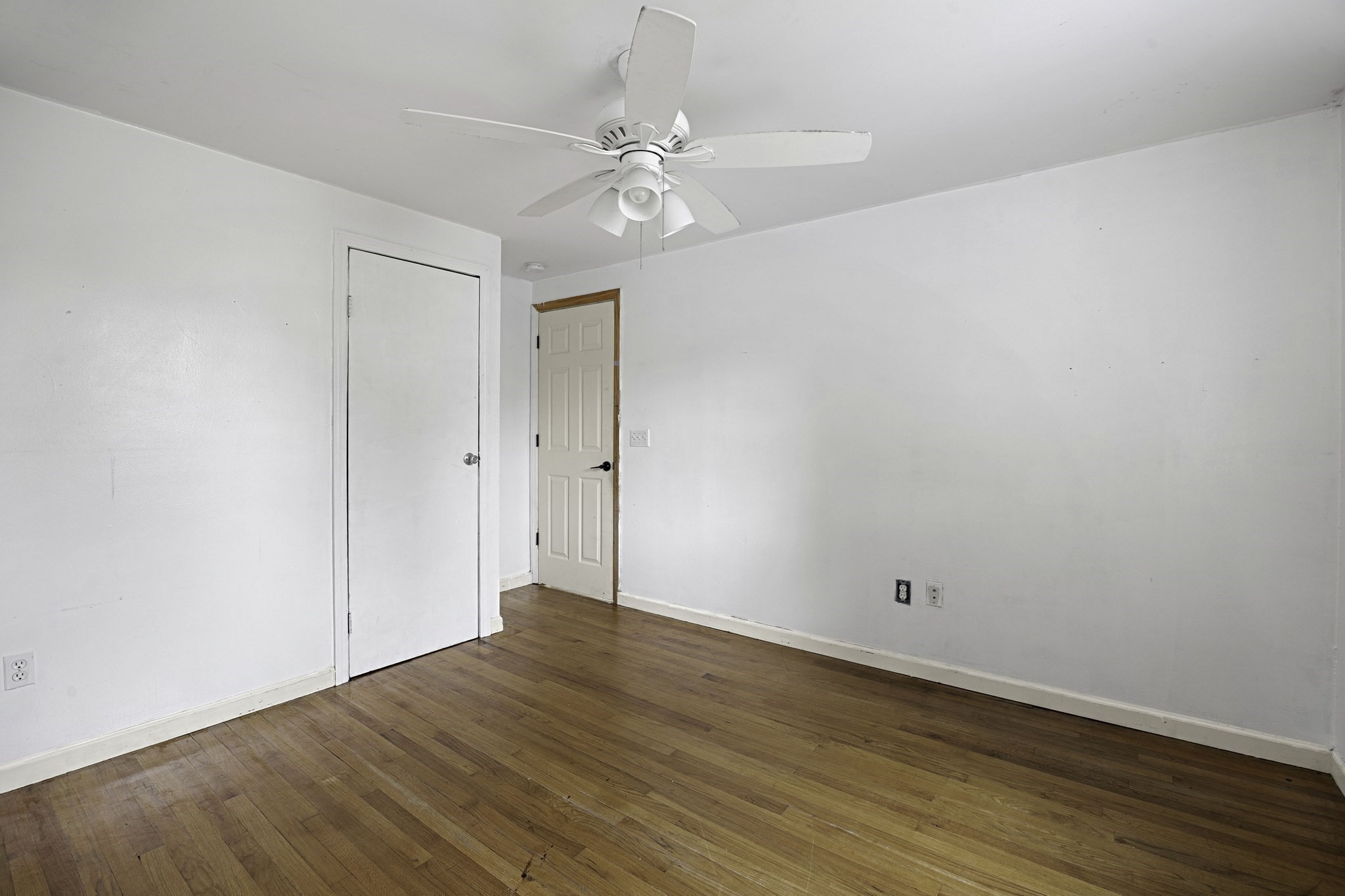 80 Quartus St Property Photo 30