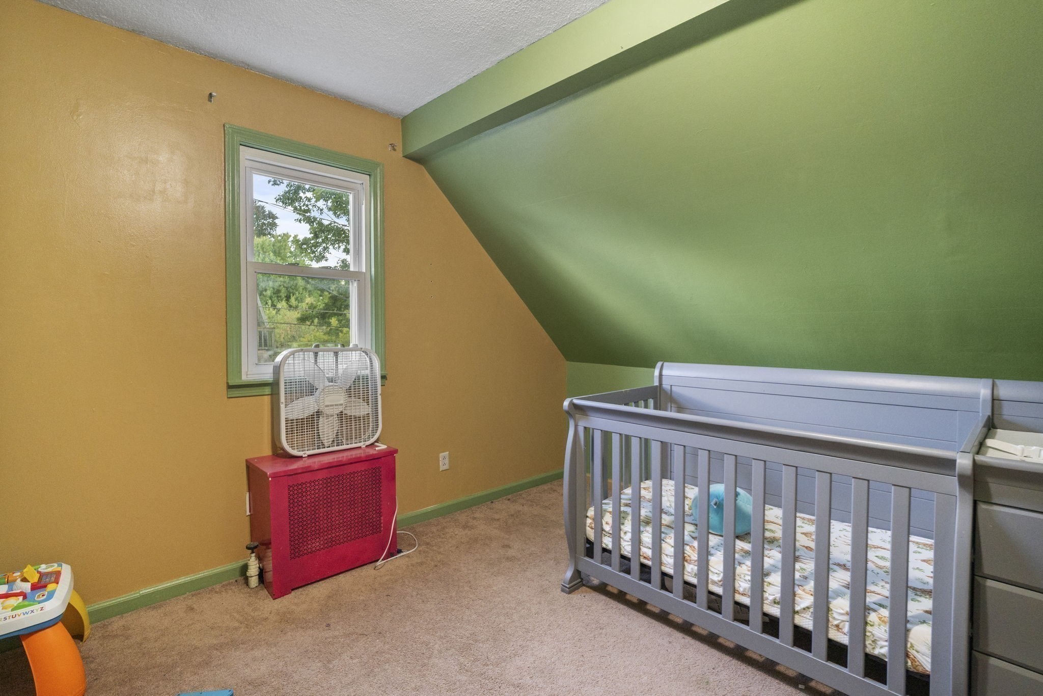 13 Cook St Property Photo 29