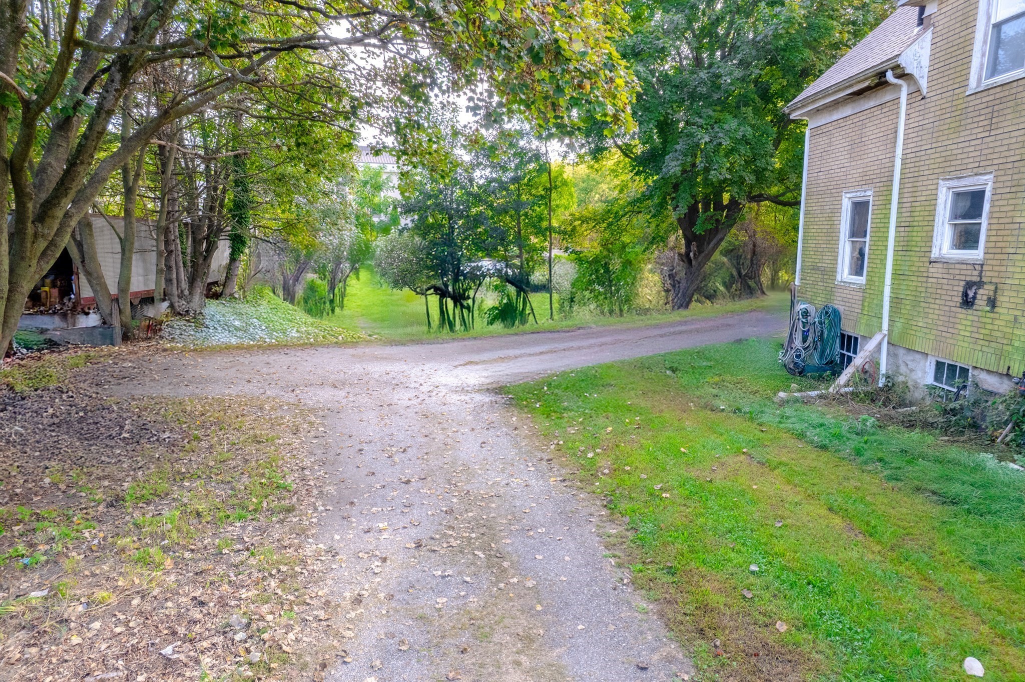 15 Shirley St Property Photo 6