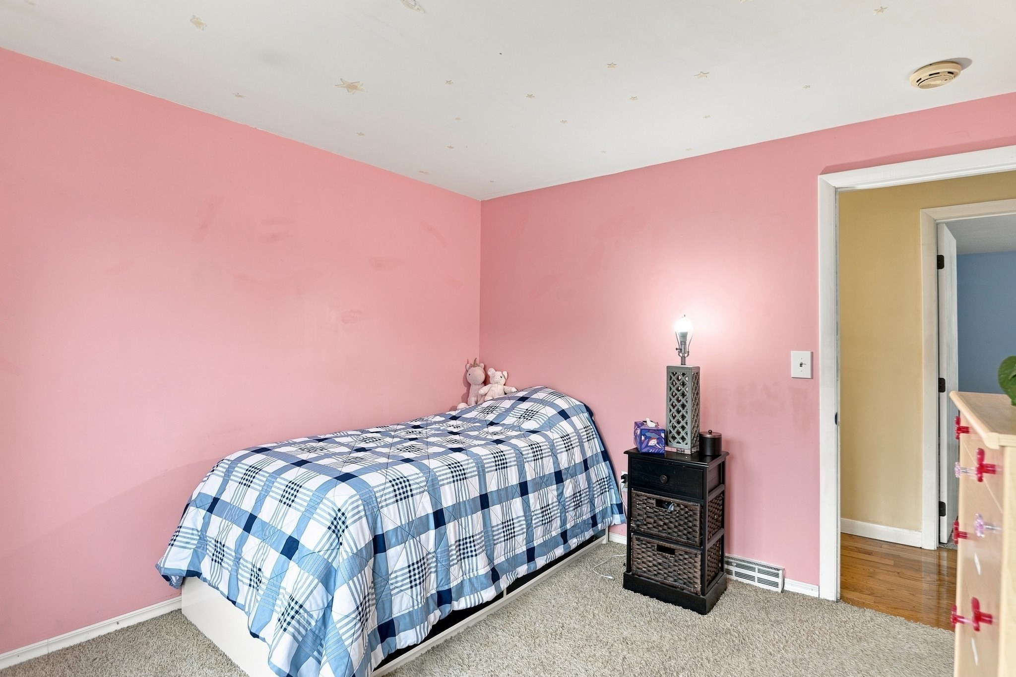 116 Kensington St Property Photo 19