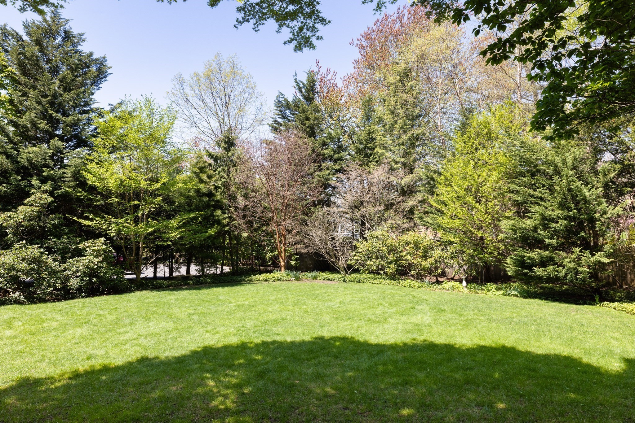 401 Heath Street Property Photo 25