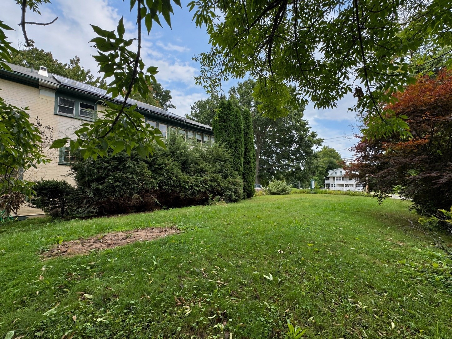 11 South Street Property Photo 28