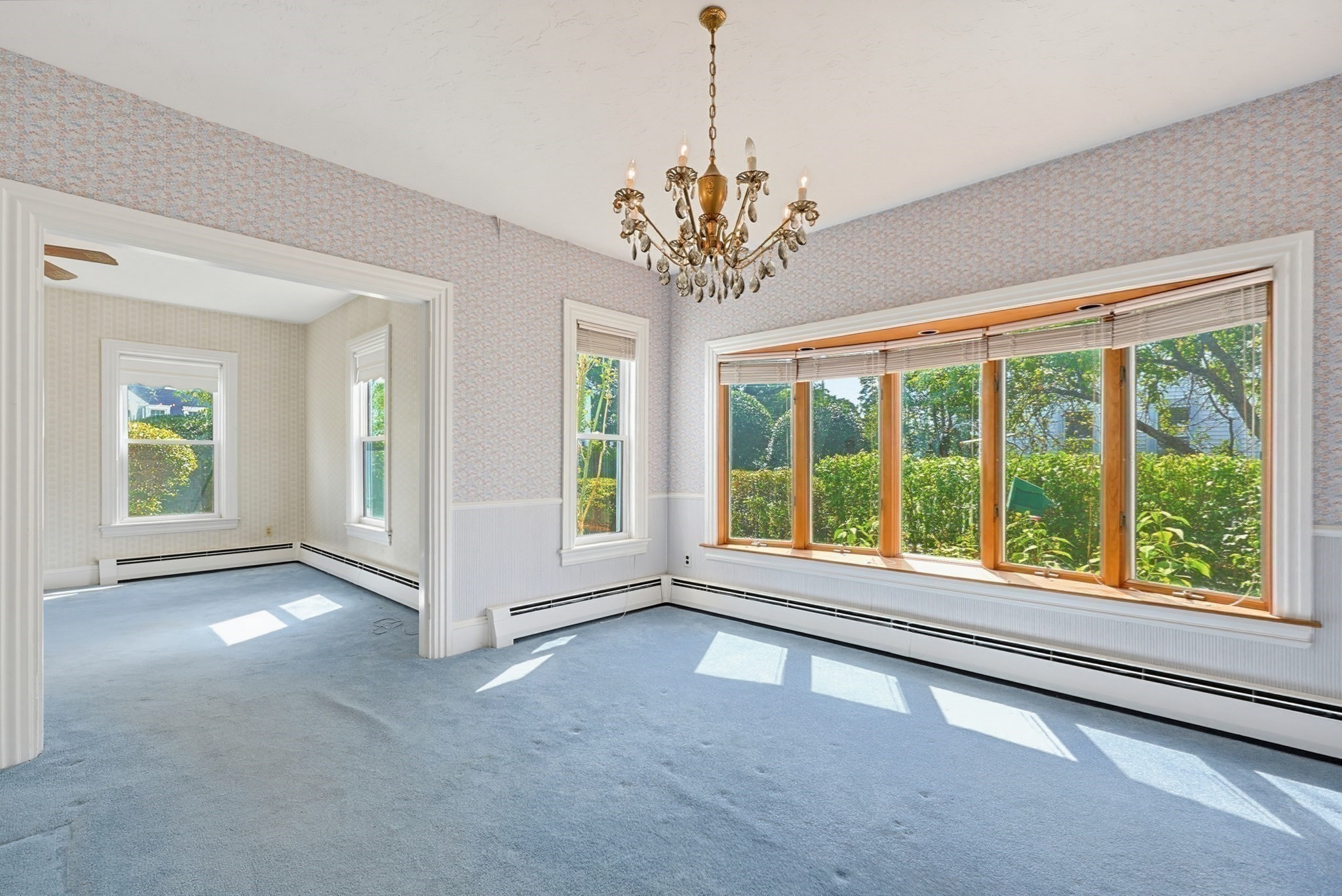 22 Hodges St Property Photo 14
